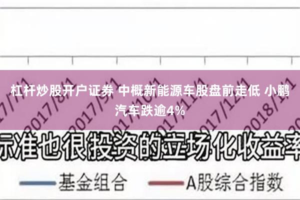 杠杆炒股开户证券 中概新能源车股盘前走低 小鹏汽车跌逾4%