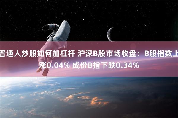 普通人炒股如何加杠杆 沪深B股市场收盘：B股指数上涨0.04% 成份B指下跌0.34%