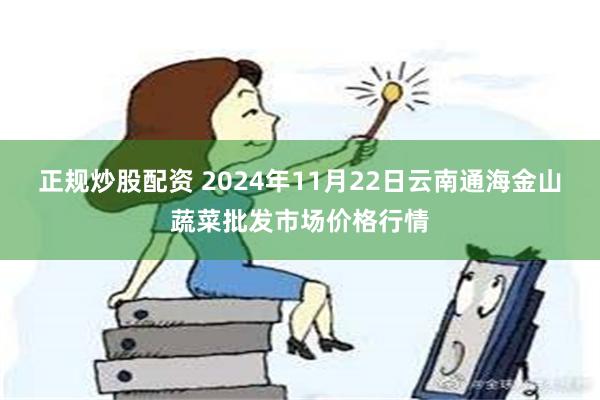 正规炒股配资 2024年11月22日云南通海金山蔬菜批发市场价格行情