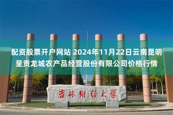 配资股票开户网站 2024年11月22日云南昆明呈贡龙城农产品经营股份有限公司价格行情