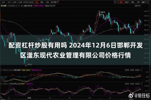 配资杠杆炒股有用吗 2024年12月6日邯郸开发区滏东现代农业管理有限公司价格行情