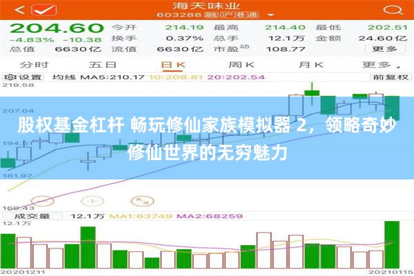 股权基金杠杆 畅玩修仙家族模拟器 2，领略奇妙修仙世界的无穷魅力