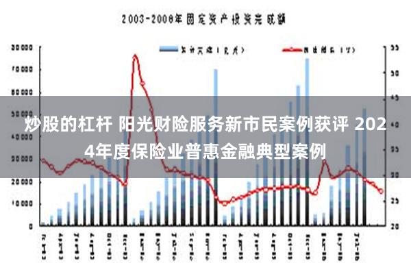 炒股的杠杆 阳光财险服务新市民案例获评 2024年度保险业普惠金融典型案例