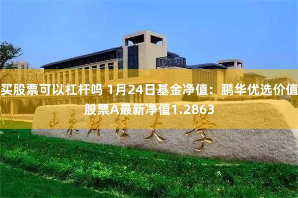 买股票可以杠杆吗 1月24日基金净值：鹏华优选价值股票A最新净值1.2863