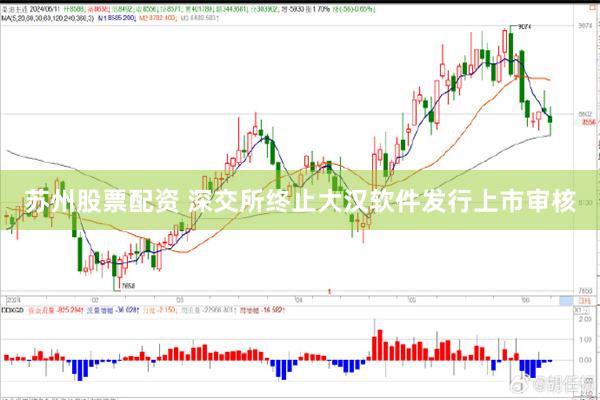 苏州股票配资 深交所终止大汉软件发行上市审核